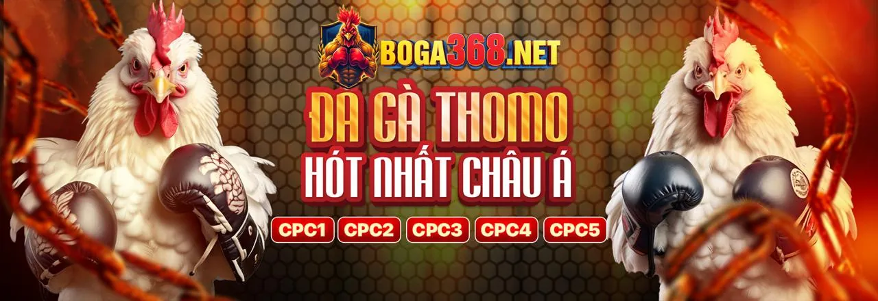 Lưu lượng dữ liệu và quản lý cookie tại gu88 link vào